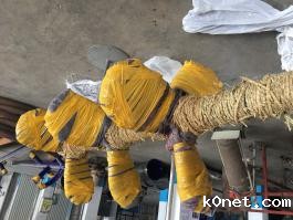 三层轴流式搅拌器