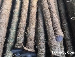 搪玻璃温度计套管