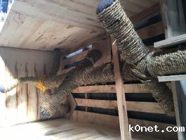 桨叶组合式搅拌器